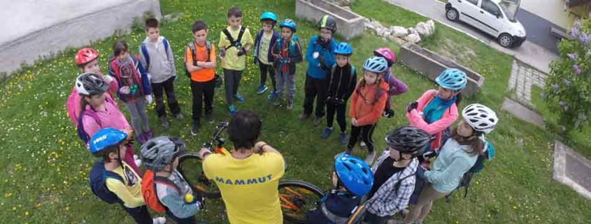 TABARA MTB VISTISOARA