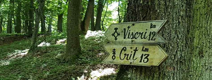 tabara viscri